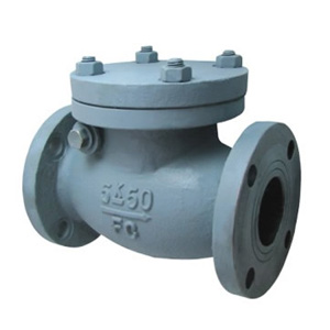 JIS F 7372 Cast rion 5K swing check valve