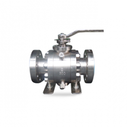 3 Inch Stainless Steel Ball Valve