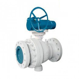 2 Piece Trunnion Ball Valve