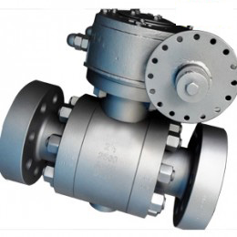 2500# Flanged Ball Valve