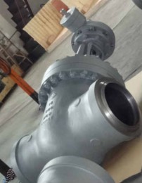 900# BW Gate Valve