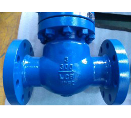 A352 LCB Swing Check Valve