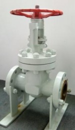 A352 LCC Gate Valves, API 600