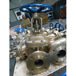 Alumium Bronze Gate Valve, ASTM B148 C95800, 3IN, 150LB, Flanged End