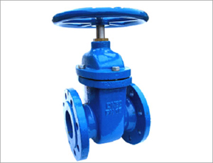 API 600 Gate Valve, A216 WCB, 3IN, CL150