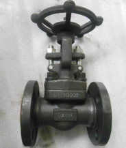 API 602 Gate Valve, ASTM A105, PN20, DN25, Flanged Ends