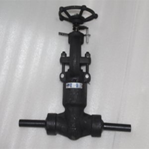 API 602 Globe Valve, A105, 1/2 Inch, 2500 LB, SW