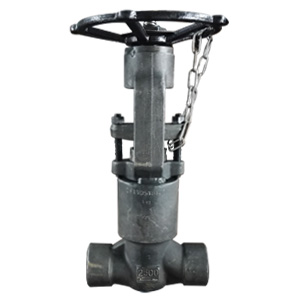 API 602 Globe Valve, ASME A182 F91, 2IN, CL2500, SW Ends