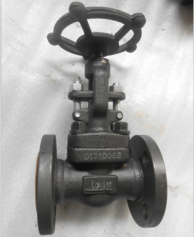 API 602 Globe Valve, ASTM A105, PN20, DN25, Trim A182 F6A