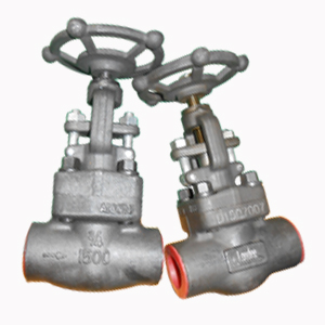 ASTM A105 Globe Valve, 3/4 INCH, Class 1500