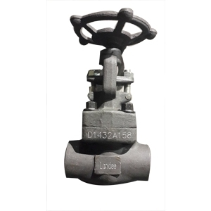 ASTM A105N Globe Valve, 1/2 Inch, 1500#, SW