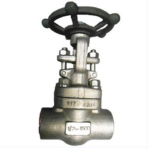 ASTM A182 F304 Gate Valve, API 602, 1/2IN, CL900, SS304+STL Trim