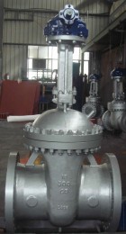 ASTM A217 WC5 Gate Valve