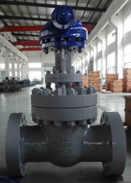 ASTM A217 WC6 Gate Valves