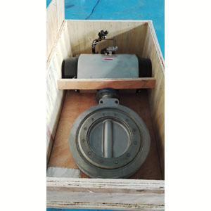 Keywords: Lugged Butterfly Valve, DN100, PN25, Body Ductile Cast Iron, SS416 Stem.