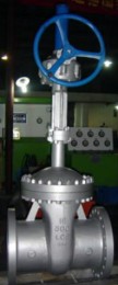 ASTM A352 LCB Gate Valve