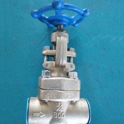 ASTM B62 C83600 Globe Valve, API 602, DN130, DN20, Threaded