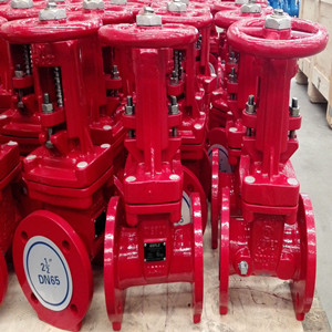 AWWA C515 Gate Valve, DI, 2.5 Inch, 300LB