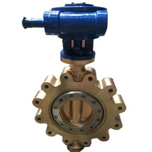 B148 Alloy 95800 Lug Butterfly Valve, DN300, PN20, FF