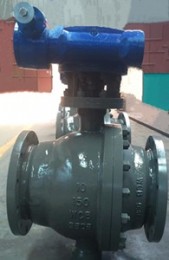 Ball Valve, 10 Inch, A216 WCB Body