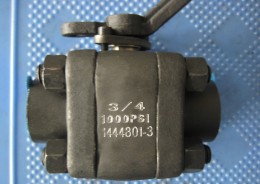 Ball Valve SW Class 800