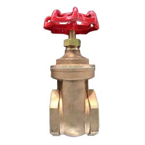 Bronze-B62 Gate Valve, PN20, DN80