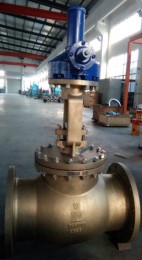 C95800 Globe Valves, RF Ends