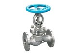 Cast Stainless Steel Globe Valve