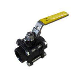 Class 800 SW Ball Valve