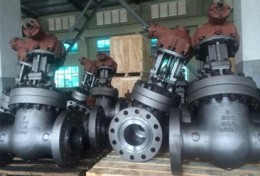 Class 900 Gate Valve, Bolted Bonnet