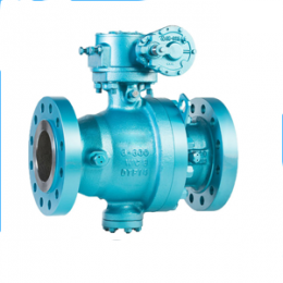 DN100 Flange Ball Valve