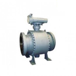 ENP ball valve