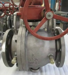 Flanged Ball Valve, WCB, Gear Operated