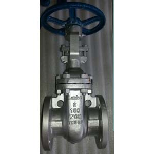 Flanged RF Cast Steel Gate Valve, DN80, 150#