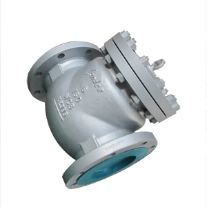 eFlanged Swing Check Valve, DN150, RF, BS 1868