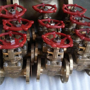 Flexible Wedge Gate Valve, B148 UNS C95800, FF