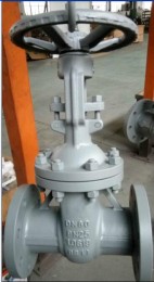 Gate Valve, 1.0619, DIN 17243