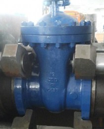 Gate Valve, 14 Inch, ANSI 300, Gear Operated