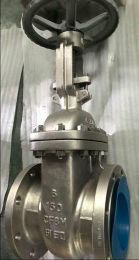 Gate Valve, Carbon Steel, WCB, Flanged