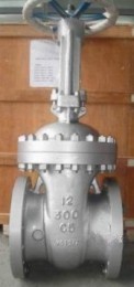 Gate Valve, Nace MR 0175, 12 Inch