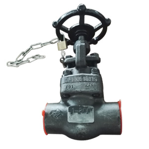 Globe Valve, ASME A182 F91, API 602, Trim 5, 1IN, CL800, SW Ends