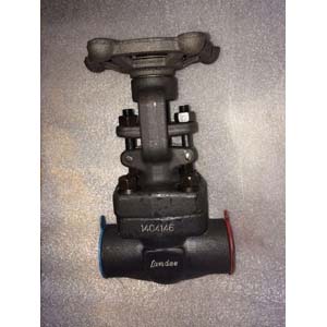 Handwheel LTCS Gate Valve, DN20, SW X FNPT