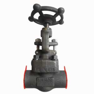 MONEL Trim Globe Valve, ASTM A182-F5, 3/4IN