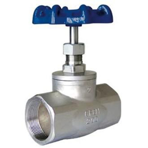 NPT Globe Valve, WCB, 1/2 Inch, Class 150