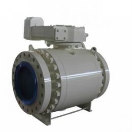 PN 100 ball valve