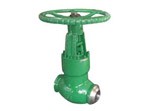 Pressure Seal Globe Valve, Cast Steel