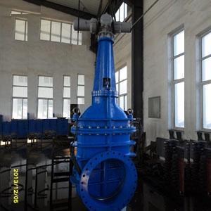 Rising Stem Gate Valve, DI, Rotork Actuator