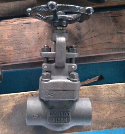 Socket Weld Globe Valve, ASTM A105N, DN15, PN250