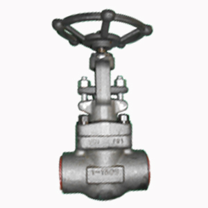 Socket Welded Globe Valve, 1 Inch, 1500 LB