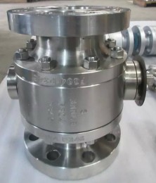 Split Body Ball Valve, Class 300, ANSI 304